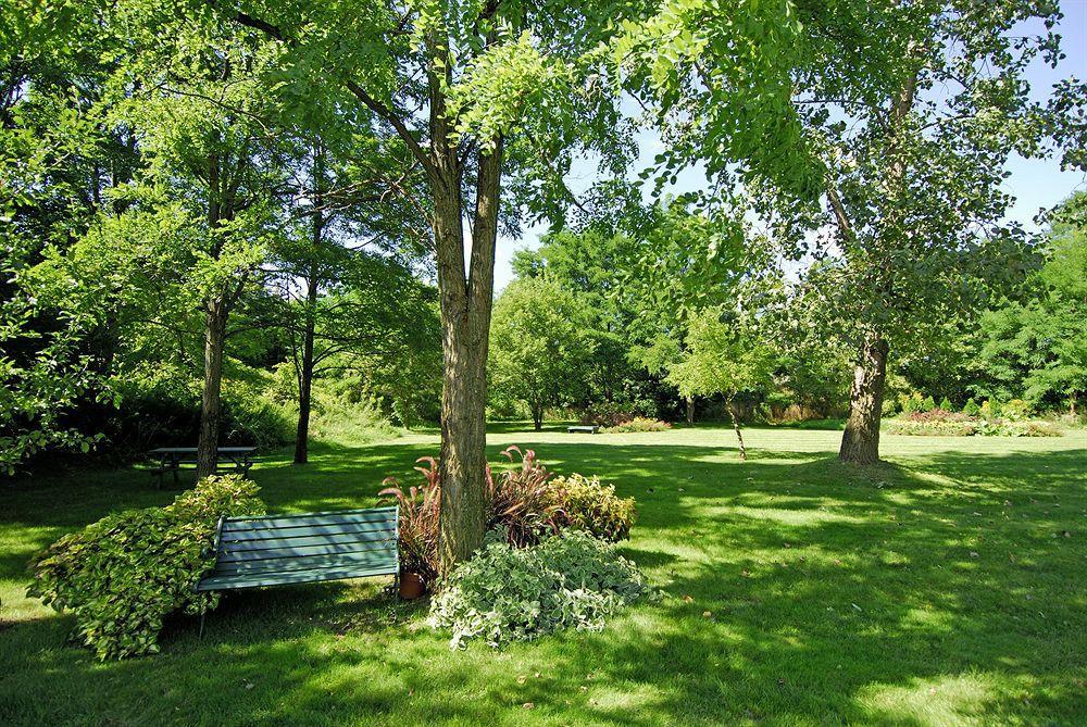 Comfort Inn Simcoe Esterno foto